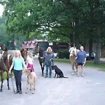 Feriehus Drewes Ranch *