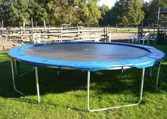 Drewes Ranch 비첸도프