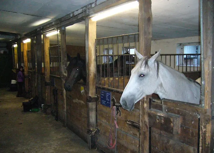 Drewes Ranch 펜션 비첸도프