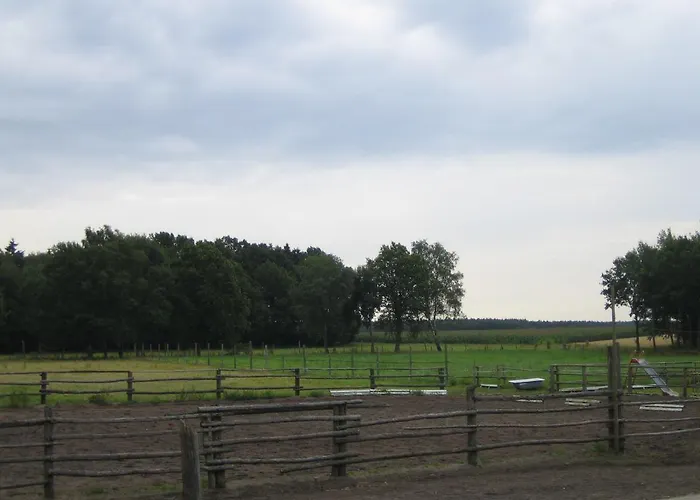 펜션 Drewes Ranch 비첸도프